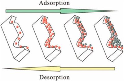 Pore Structure and Fractal Characteristics of Organic-Rich Lacustrine Shales of the Kongdian Formation, Cangdong Sag, Bohai Bay Basin